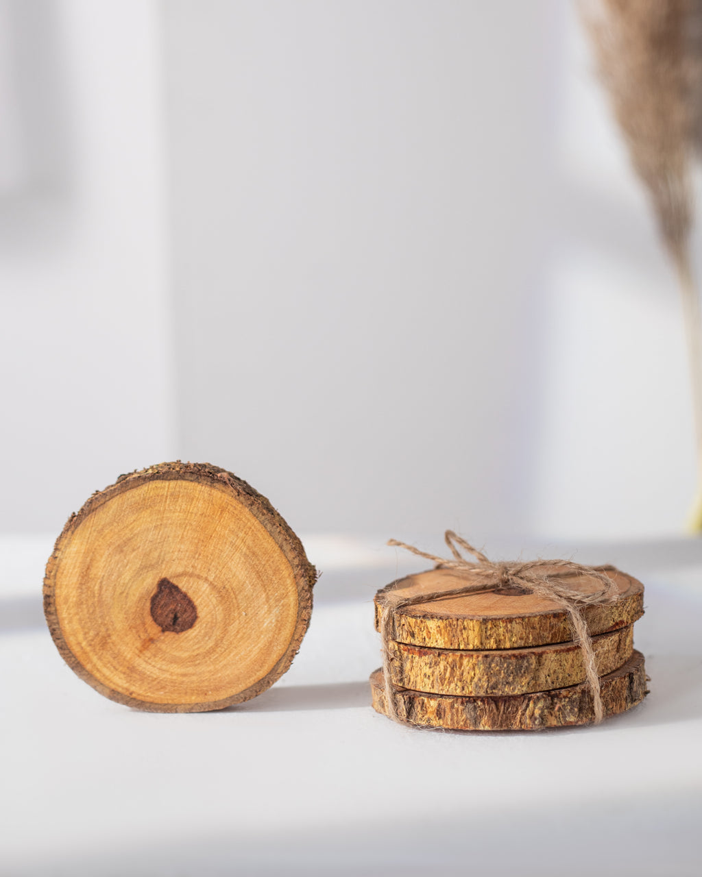 Coasters (Set of 4)